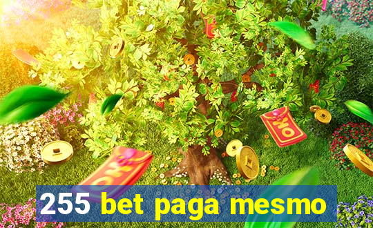 255 bet paga mesmo